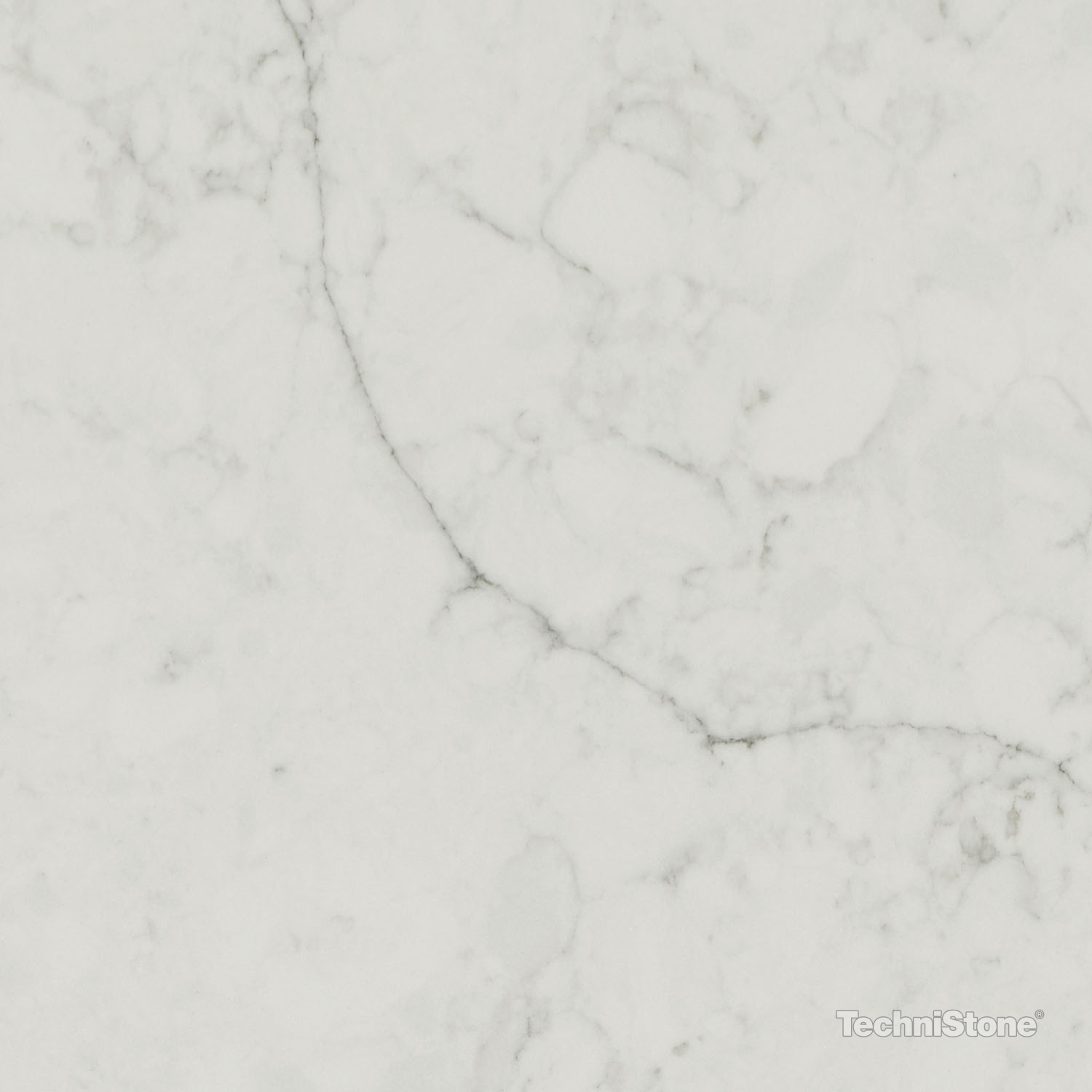 1628682873_Mystery_White_close_look