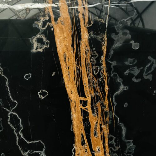 medium_1690792374_IMG_0572 medium_1690792374_IMG_0572